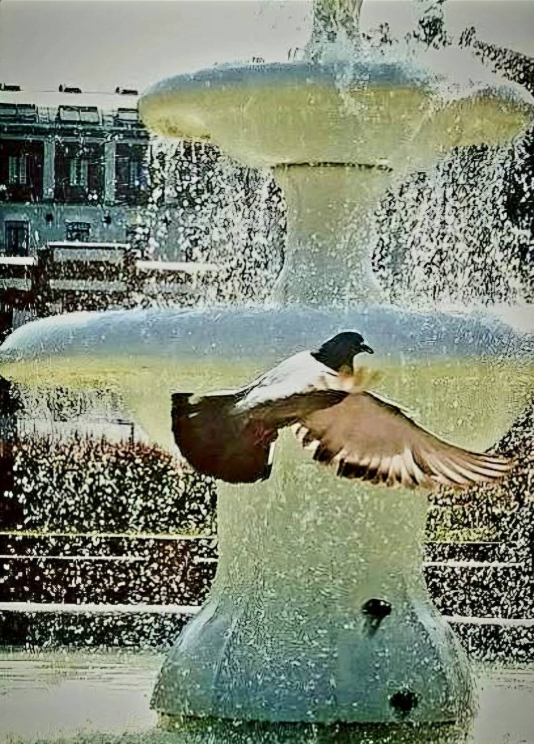 Splash of Freedom