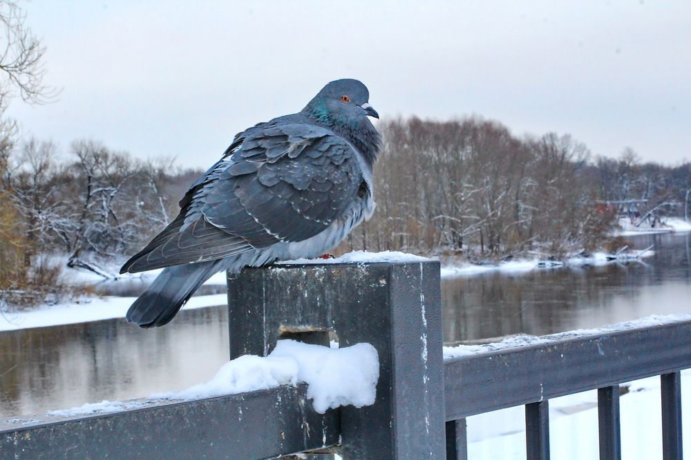 Photograph by Виталий Симоненков