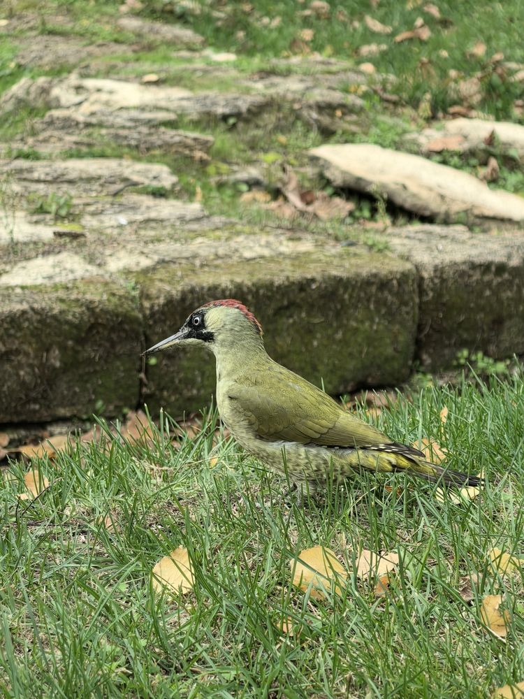 Photograph by Елена Шляхова