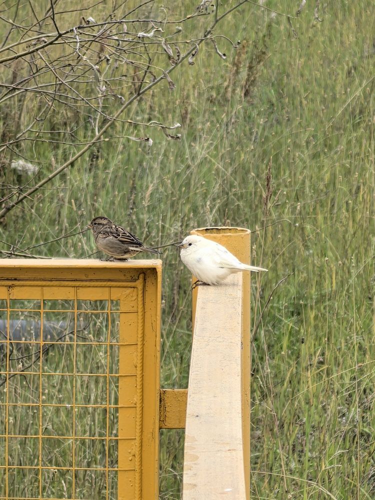 Photograph by Елена Шляхова