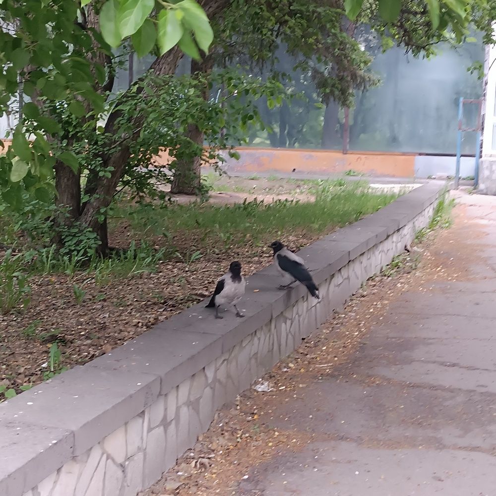 Photograph by Елена Колышева