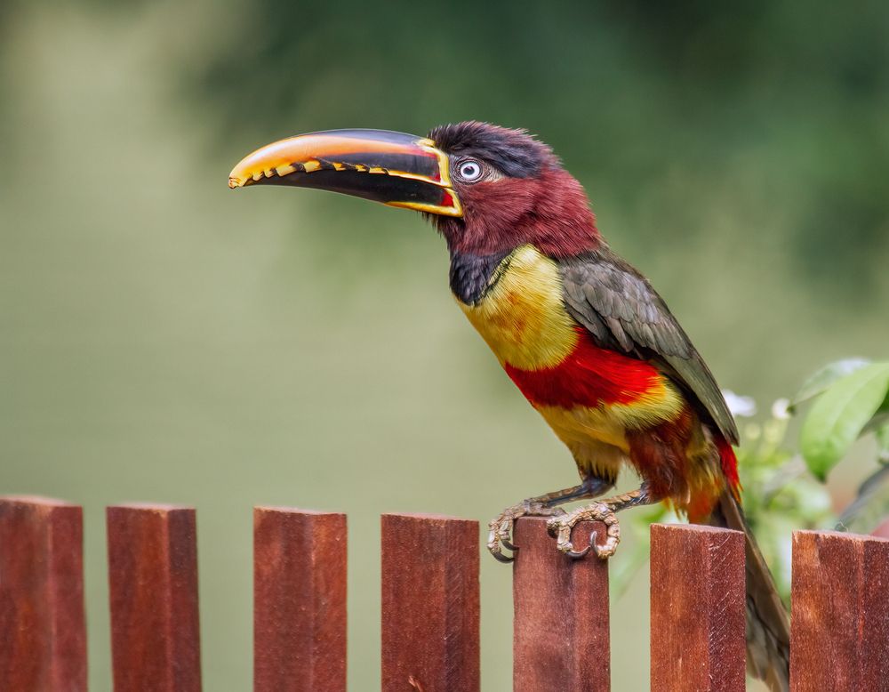 Photograph by Valdir Hobus