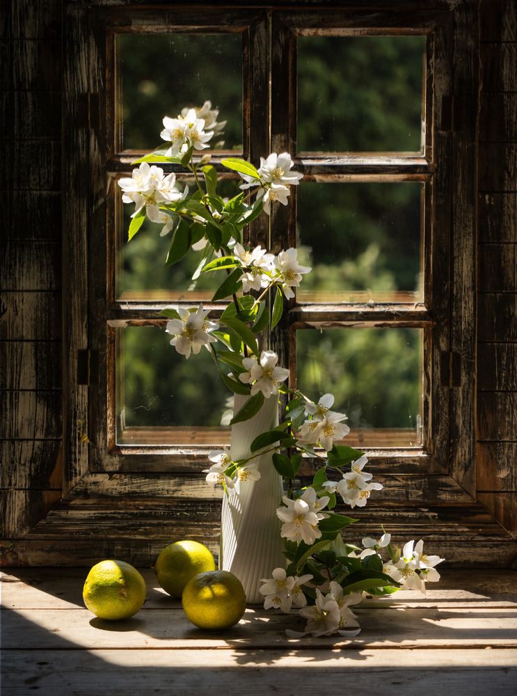 Photograph by Olga Schmidt