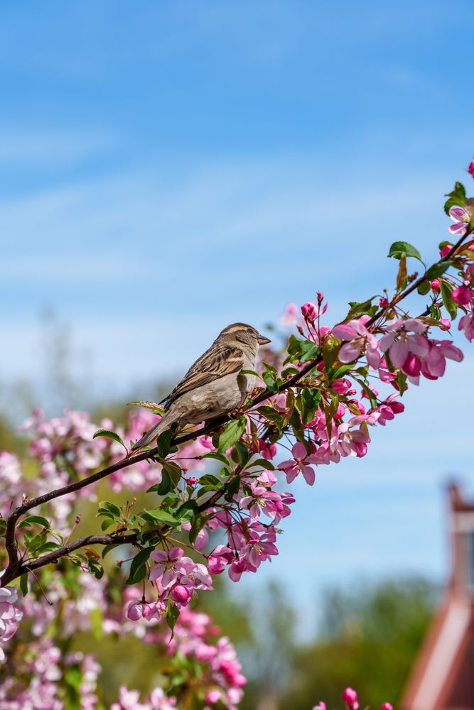 Photograph by Павел Бутко