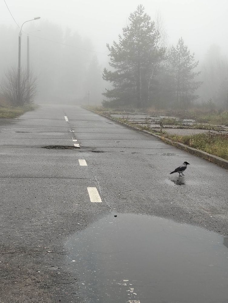 Photograph by Игорь Пшеничников