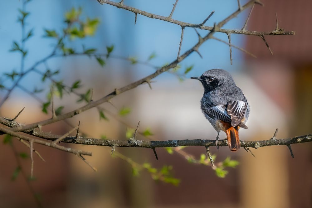 Photograph by Kveta Novotna