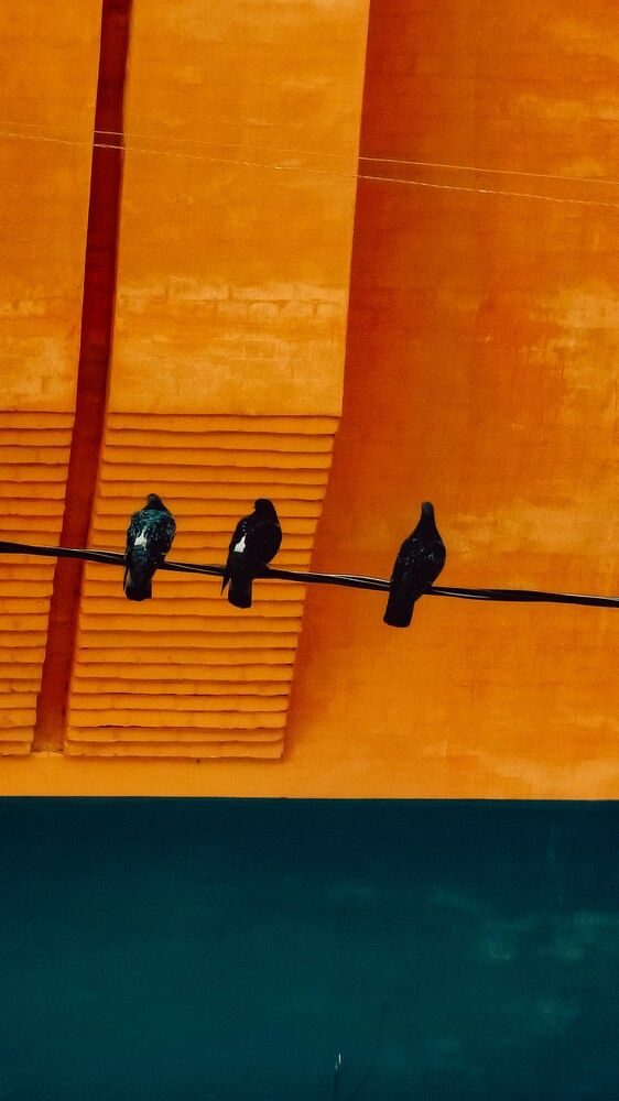 Photograph by Людмила Горячева
