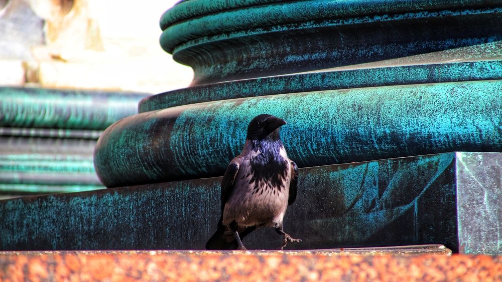 Photograph by Андрей Вешняков