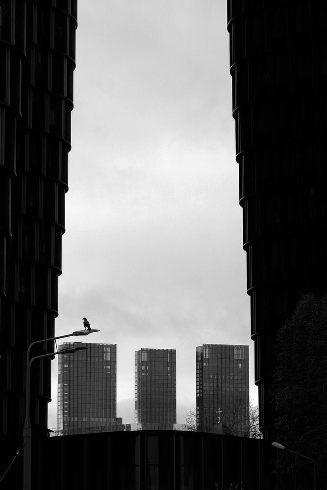Photograph by Дмитрий Ткаченко