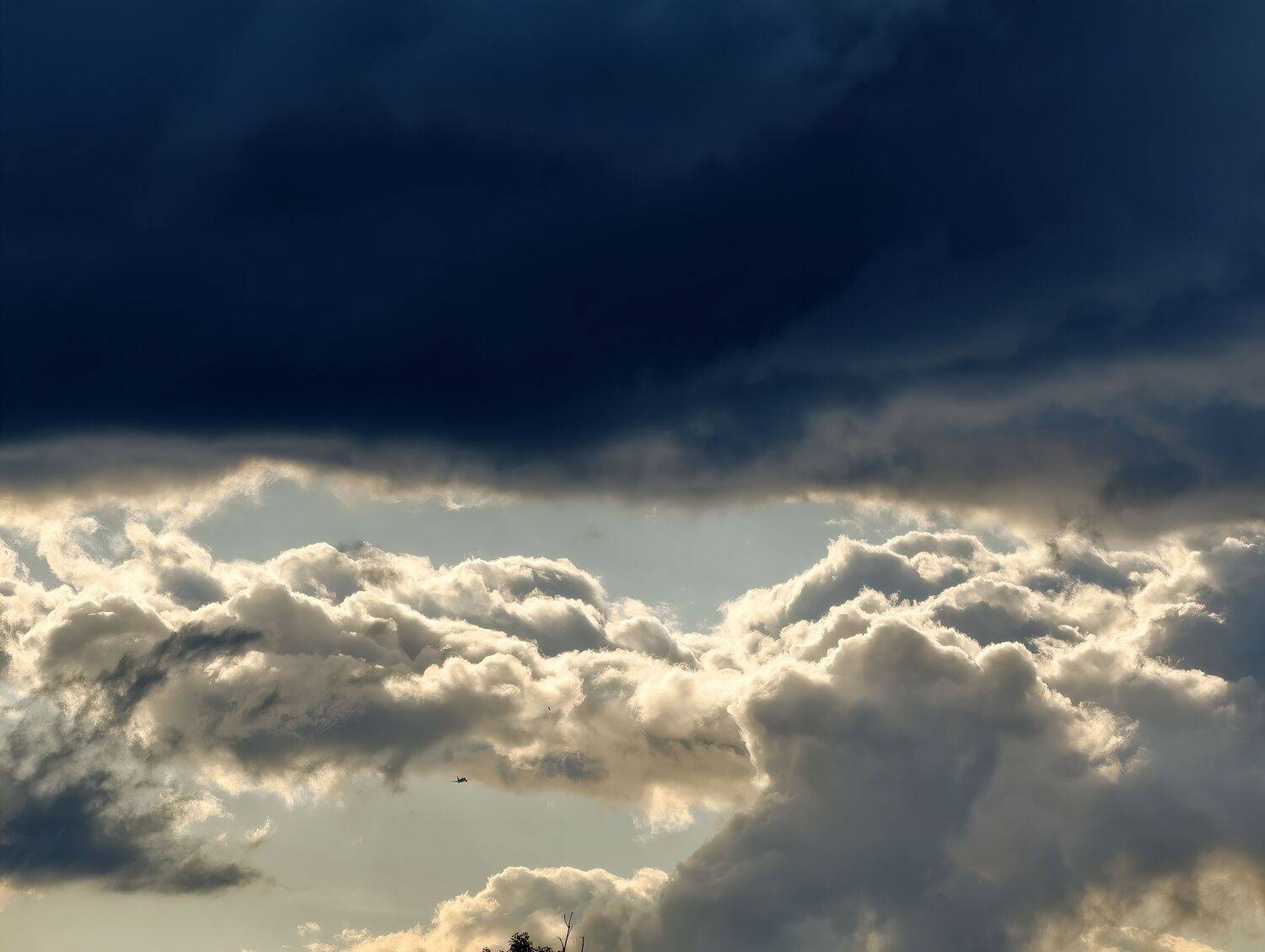 Photo #13694318