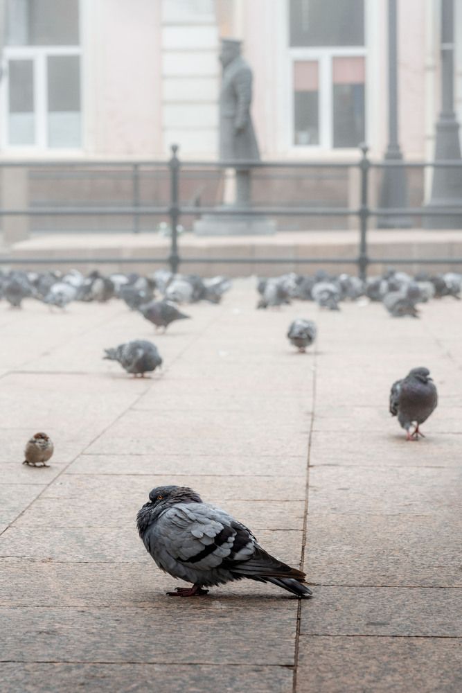 Photograph by Важенин Евгений