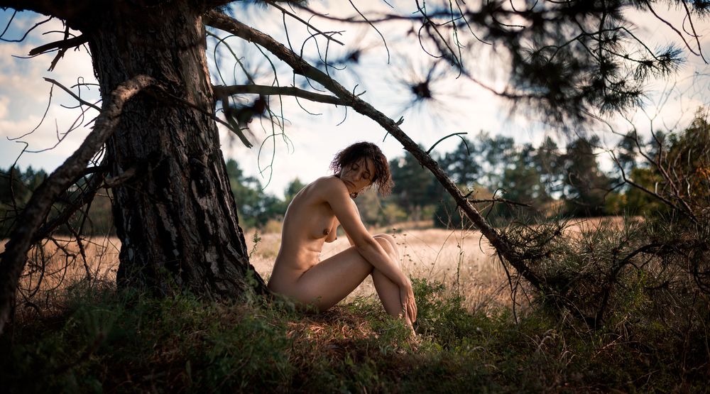 Photograph by Dizel
