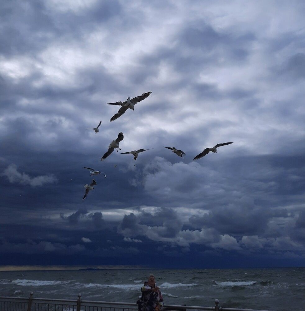 Photograph by Елена Пикатова