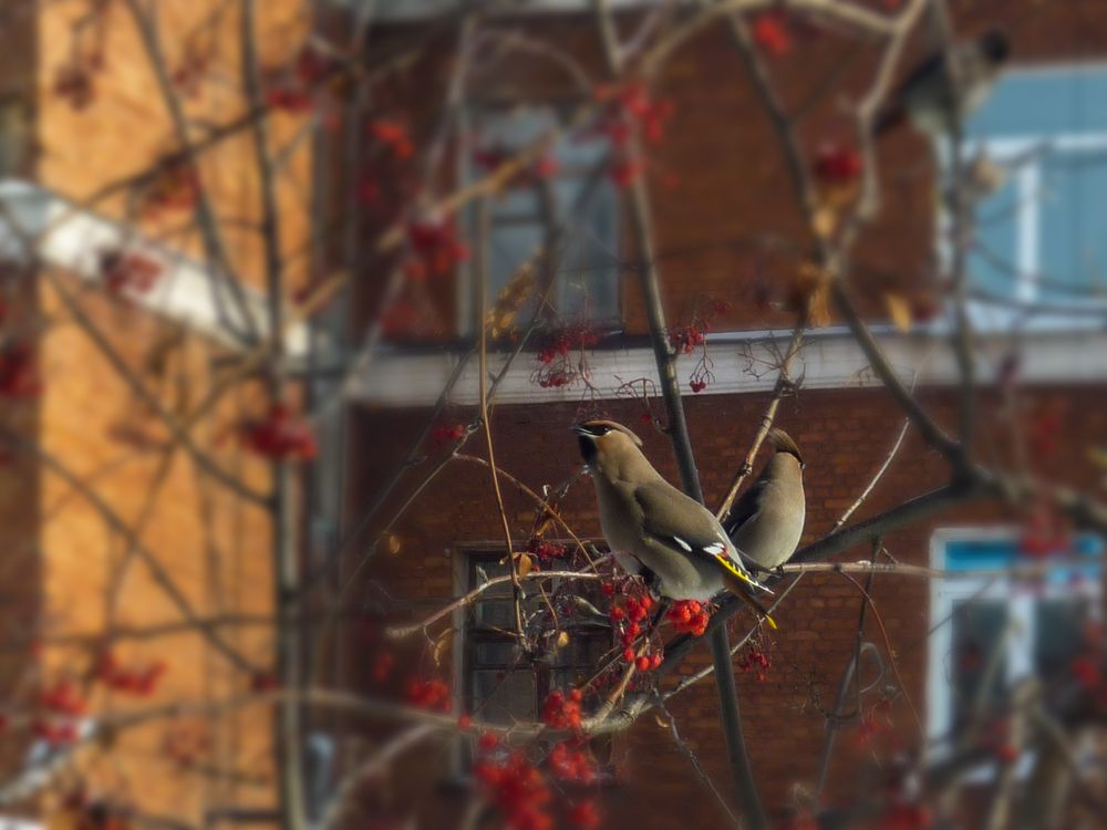 Photograph by Наталья Веселкина