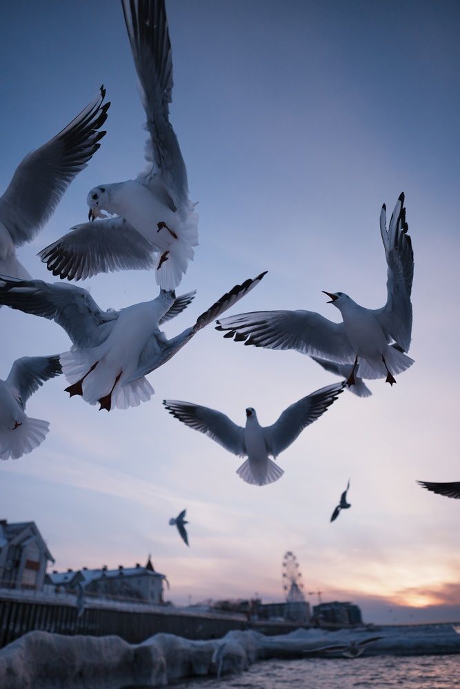 Photograph by Анастасия Пьянкова