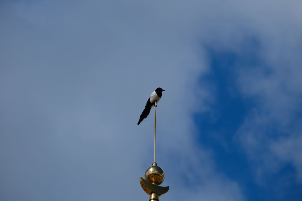 Photograph by Лариса Андреева