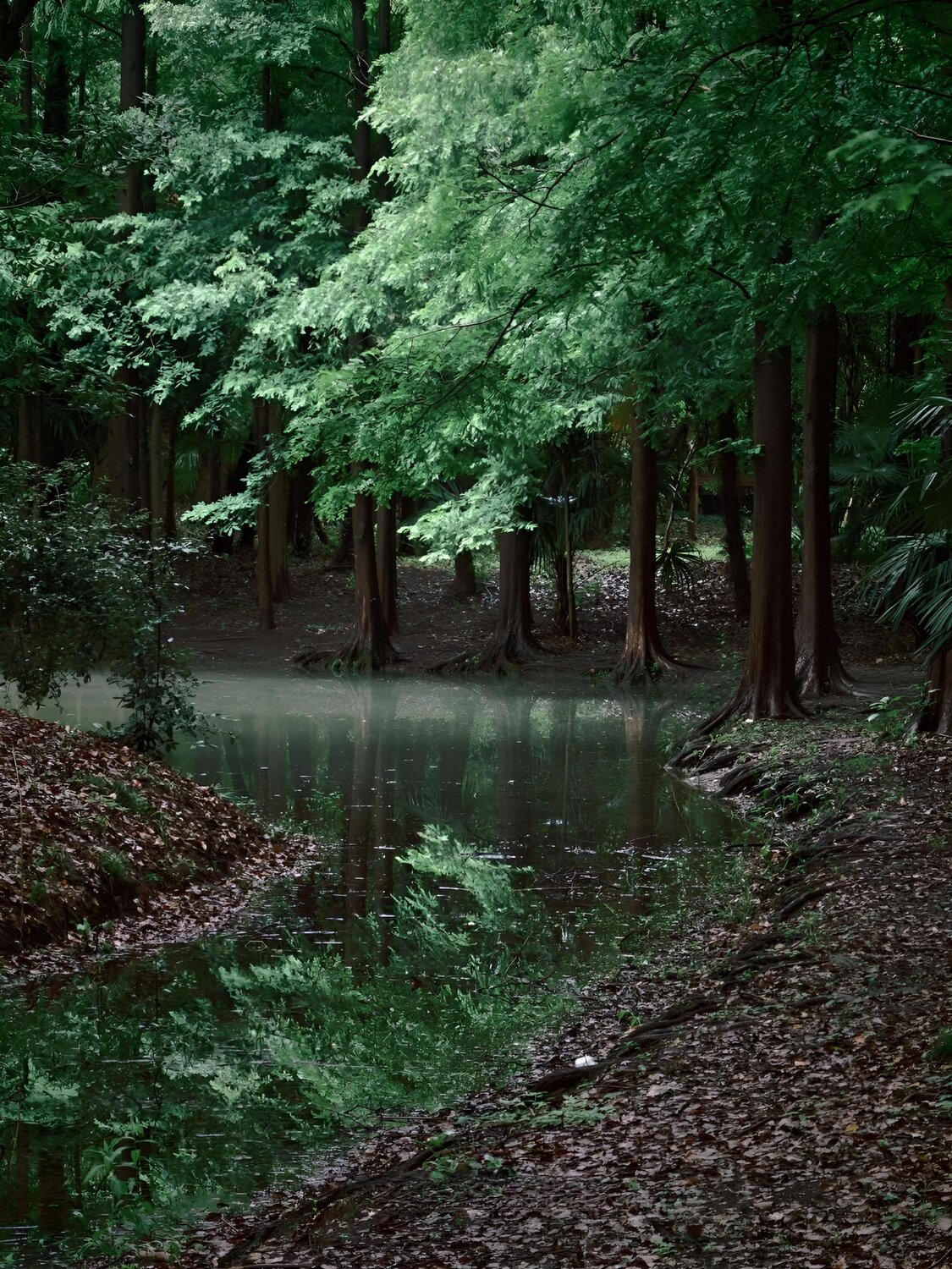 Emerald Reflection