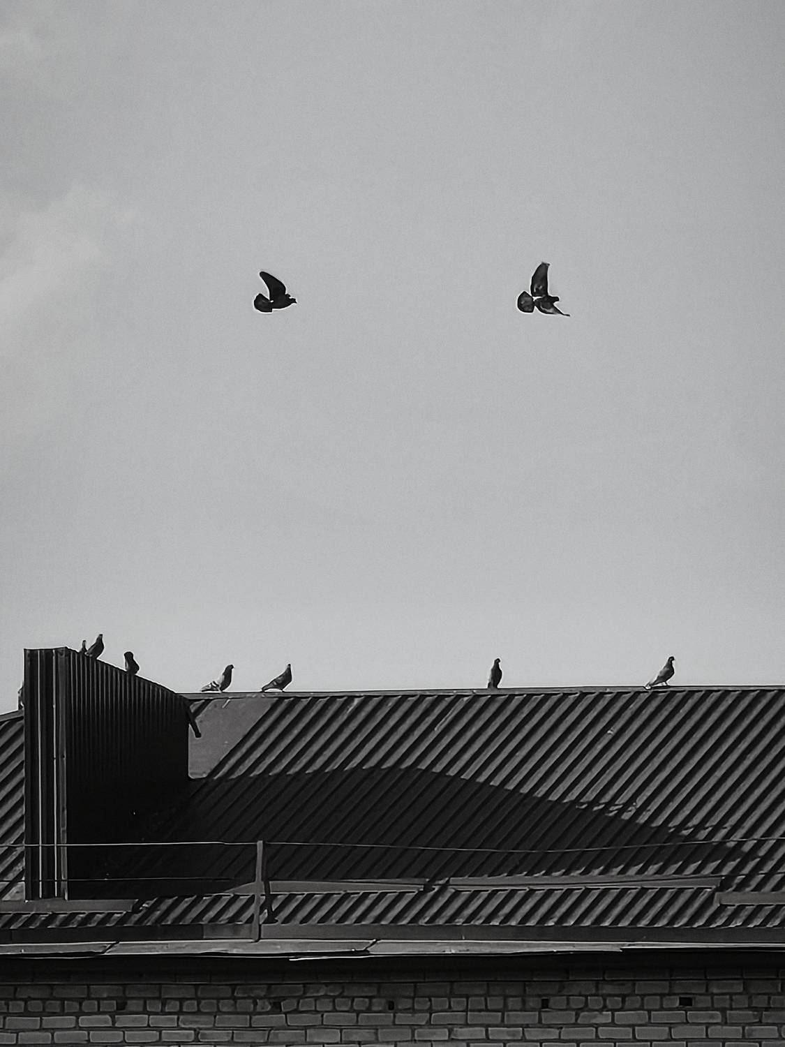 Photo #13694523