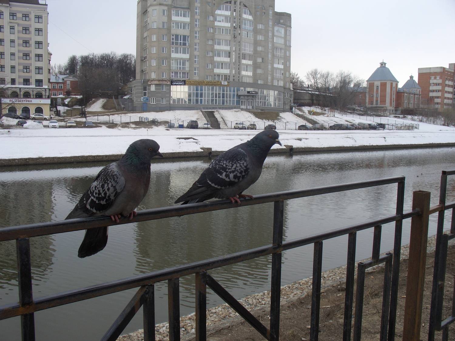 Photo #13694540