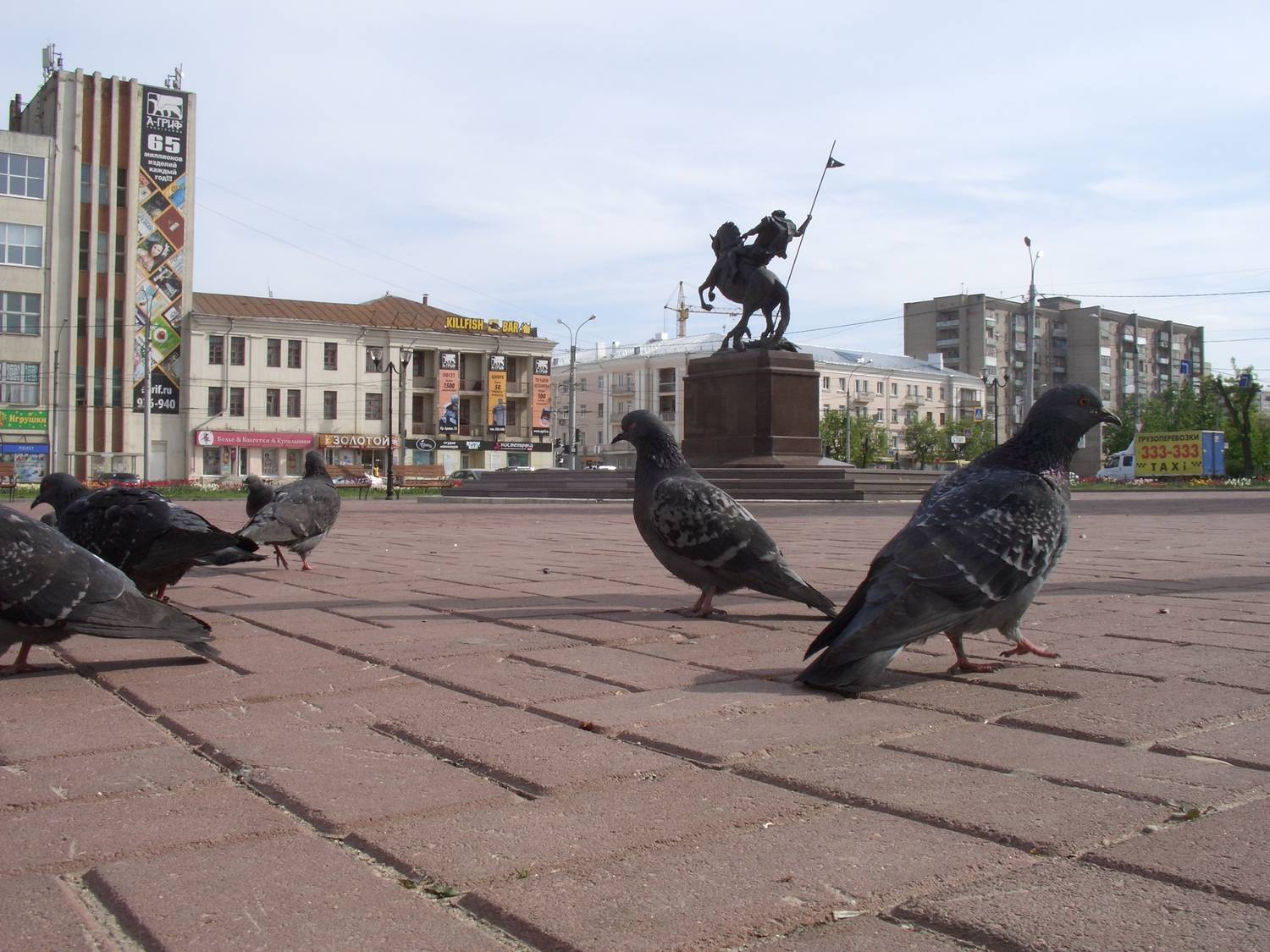 Photo #13694542