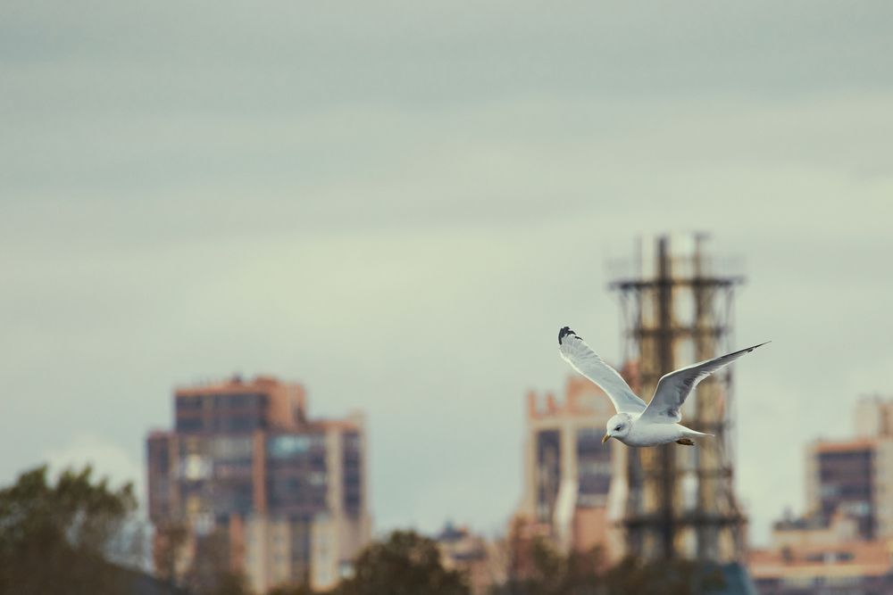 Photograph by Дмитрий Копытин