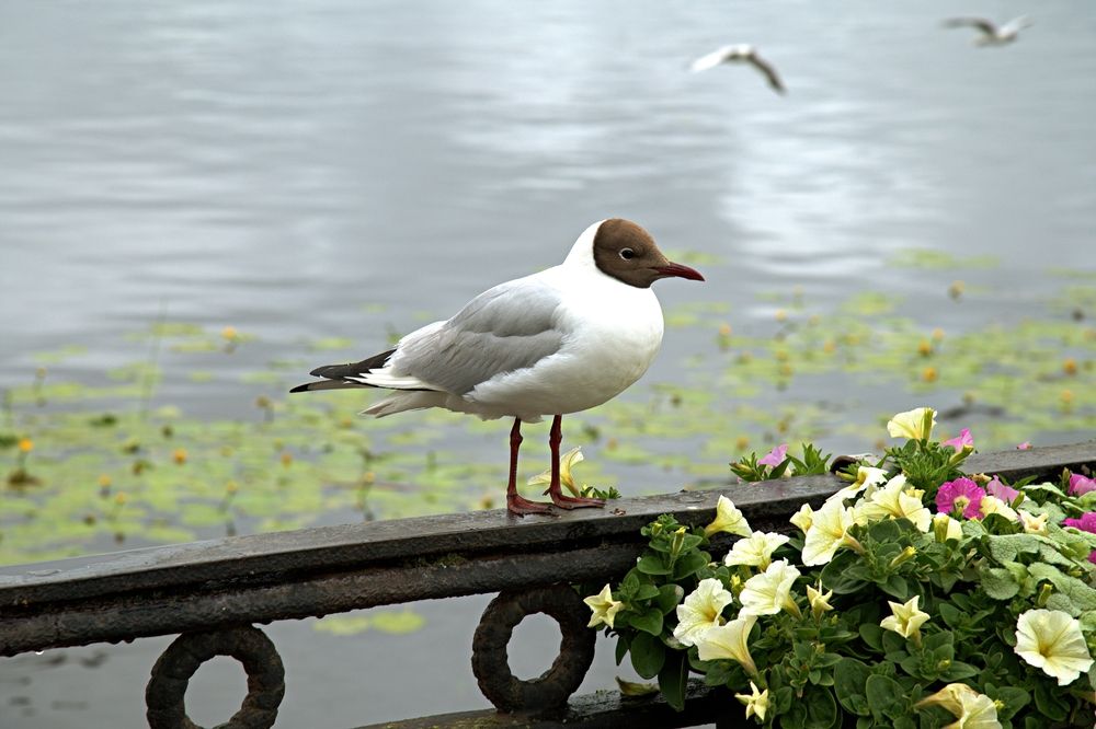 Photograph by Борис Чернов