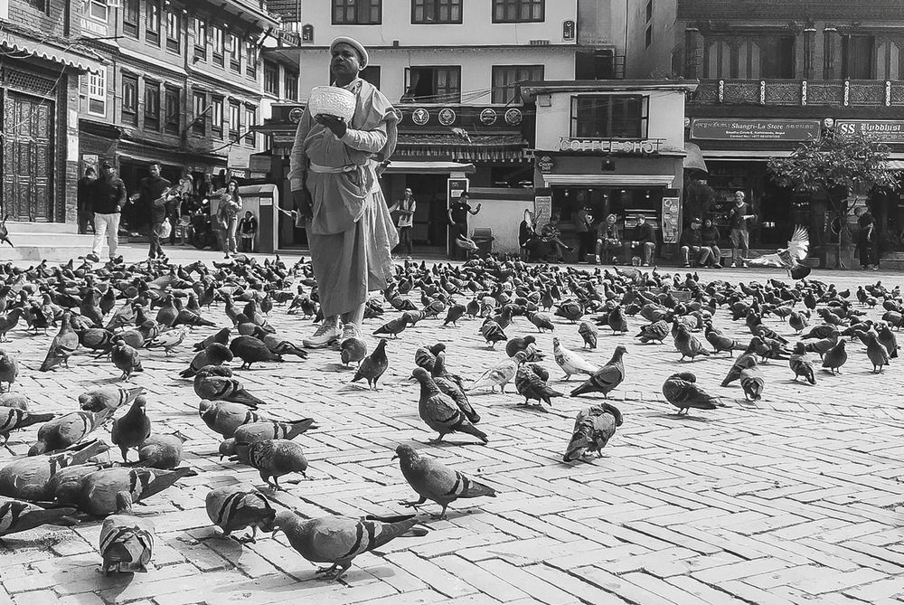 Photograph by Hamidreza zakeri