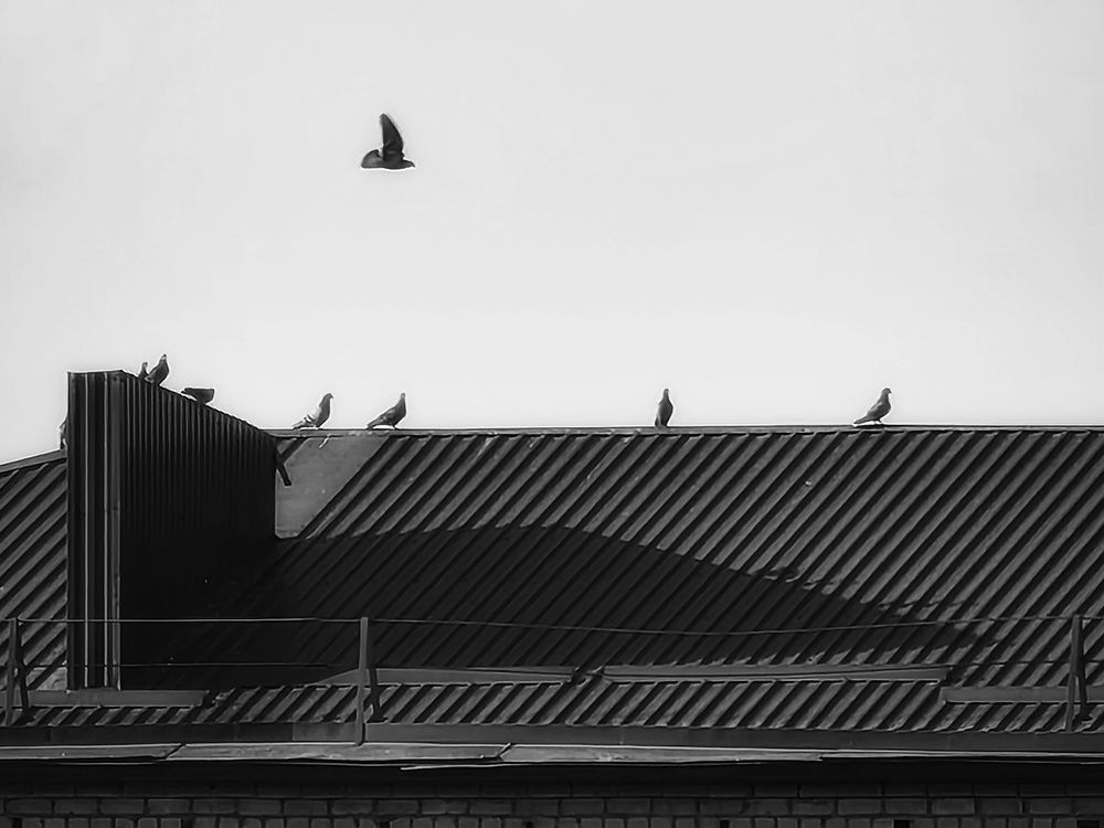 Фотография автора Наталия Соболева