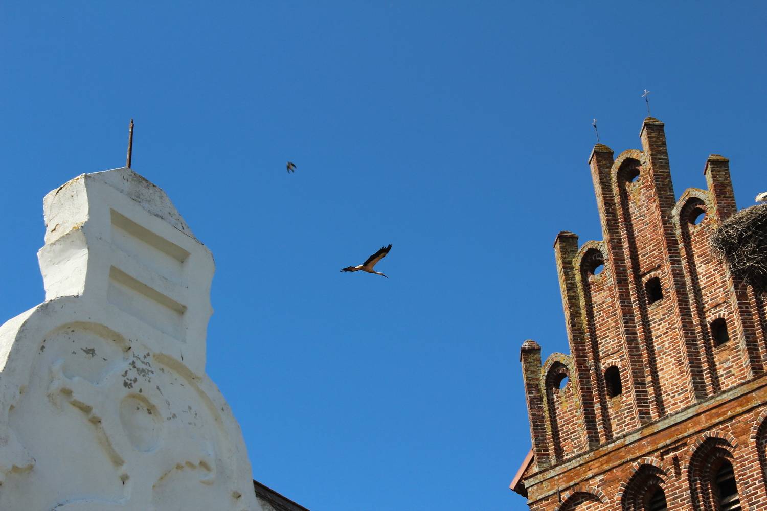 Photo #13694651
