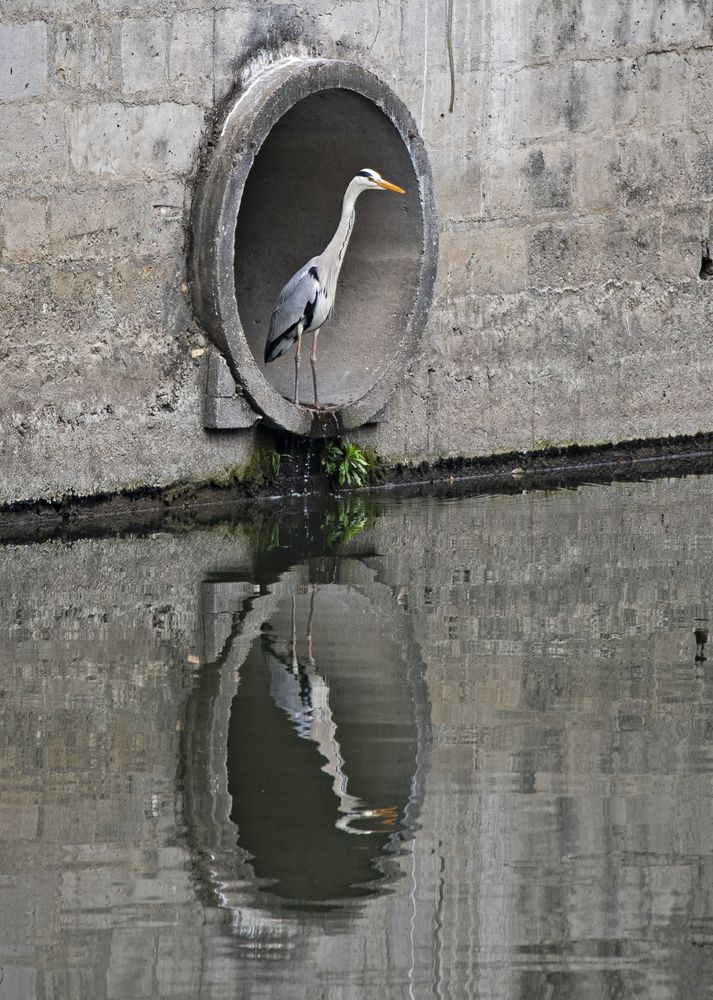 Photograph by Gurdina Lena