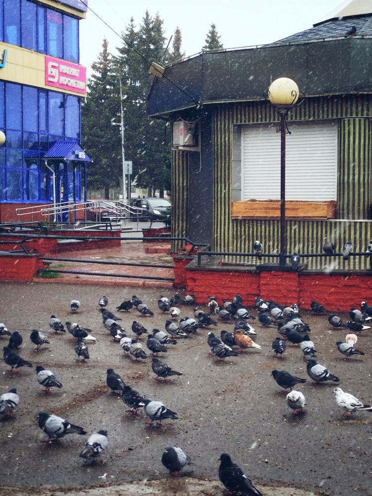 Photograph by Дубровина Марина