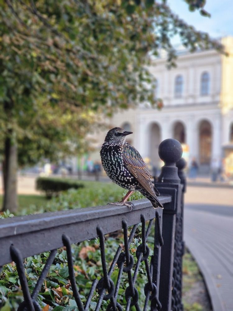 Photograph by Светлана Гордиенко