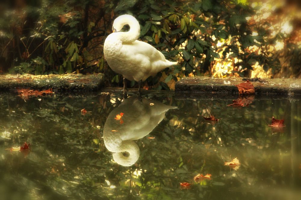 Photograph by Алексей Шалев
