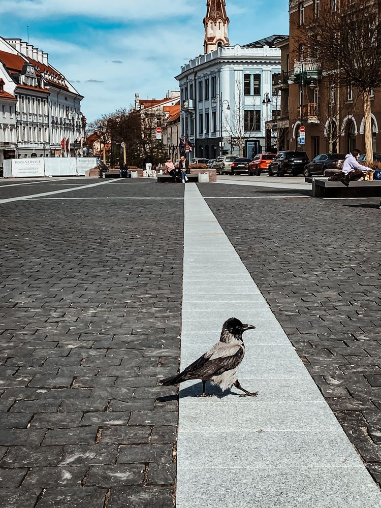 Фотография автора Олена Уманцева