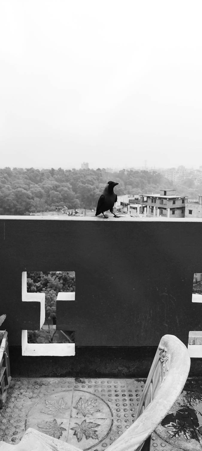 Photo #13694967