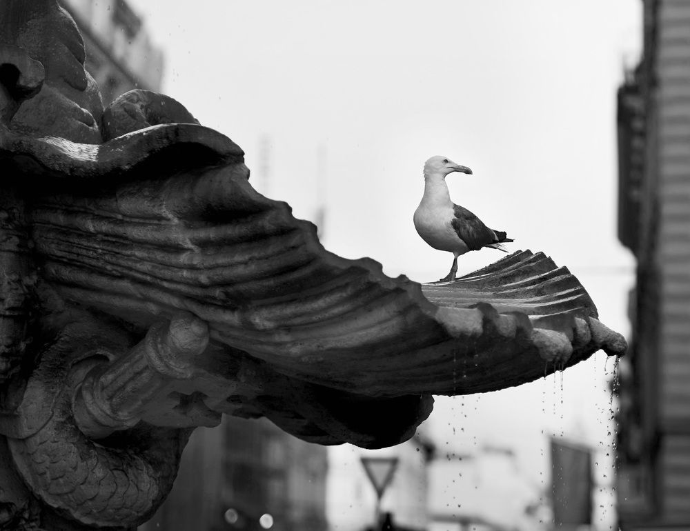 Photograph by Искандар Газизов