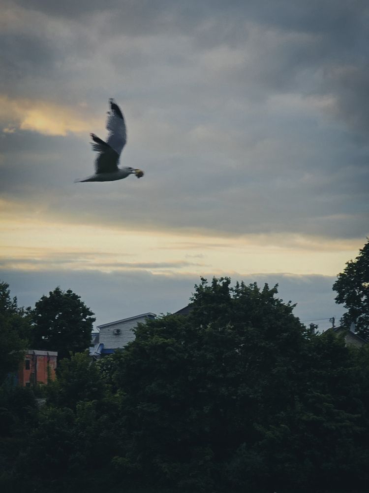 Photograph by Ирина Хлебникова
