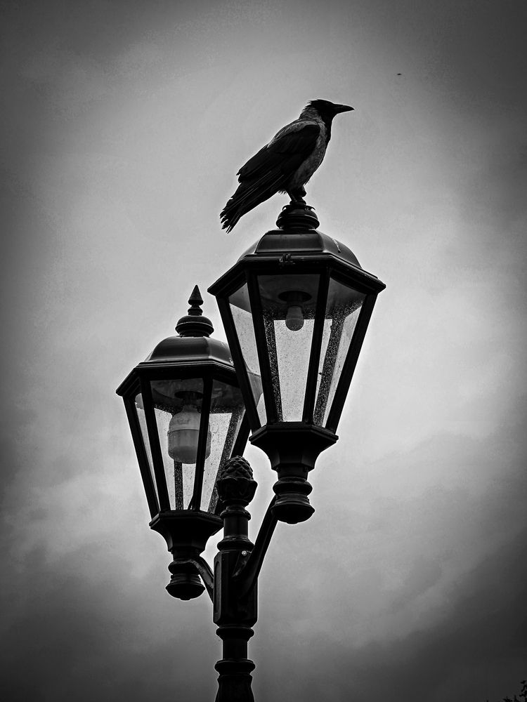Photograph by Ирина Хлебникова