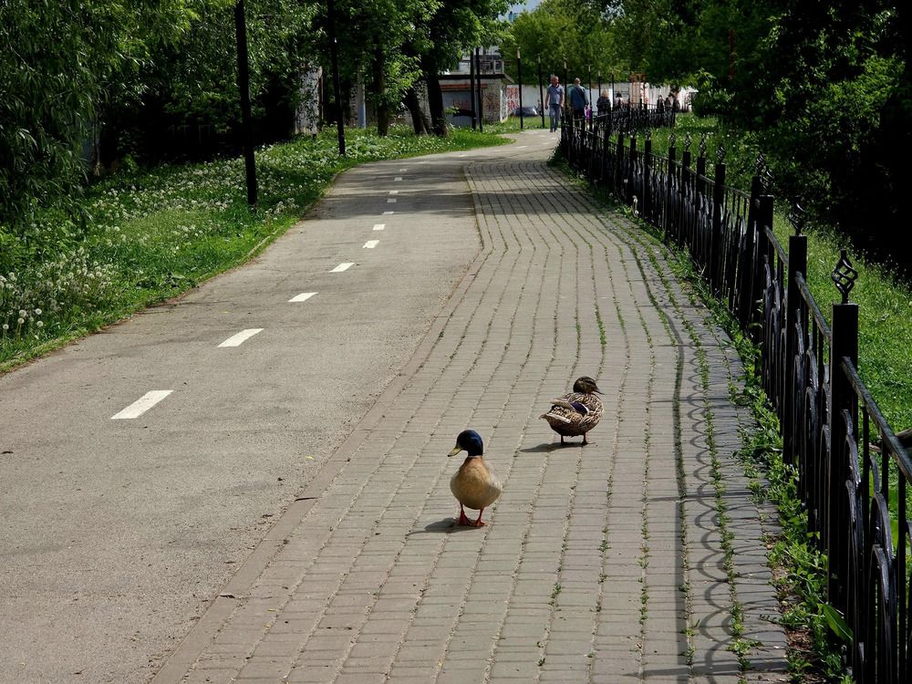 Photograph by Куделенко Оксана