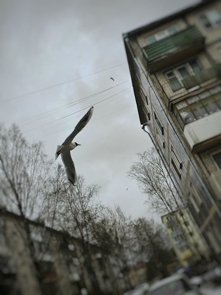 Photograph by Ирина Хлебникова