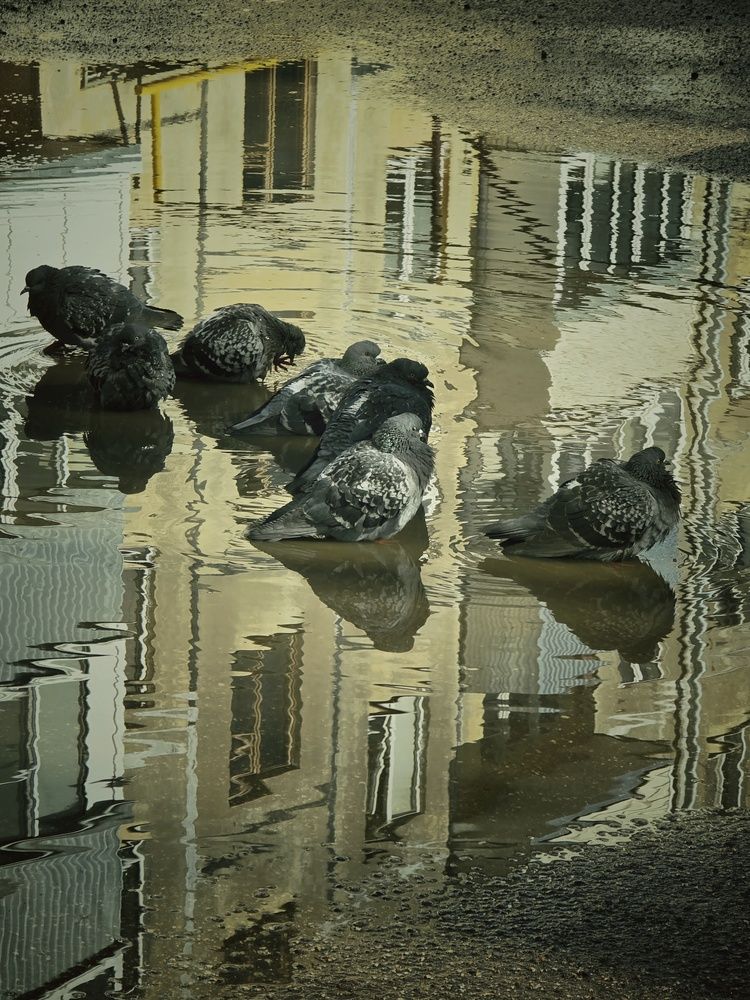 Photograph by Ирина Хлебникова