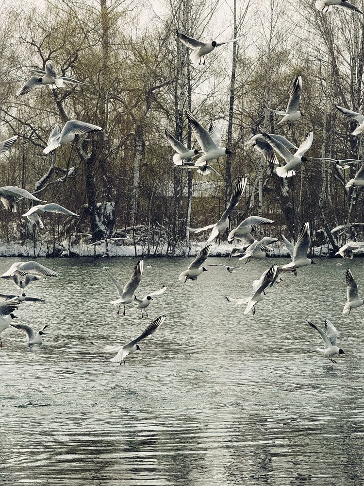 Photograph by Evgenia