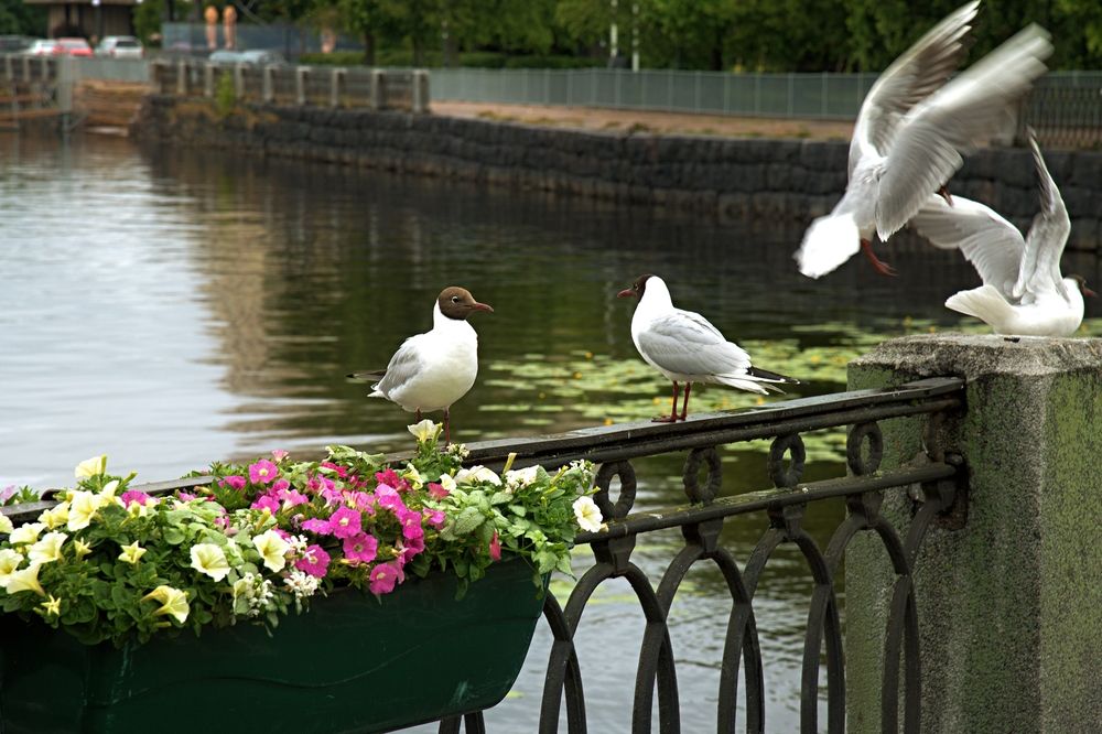Photograph by Борис Чернов