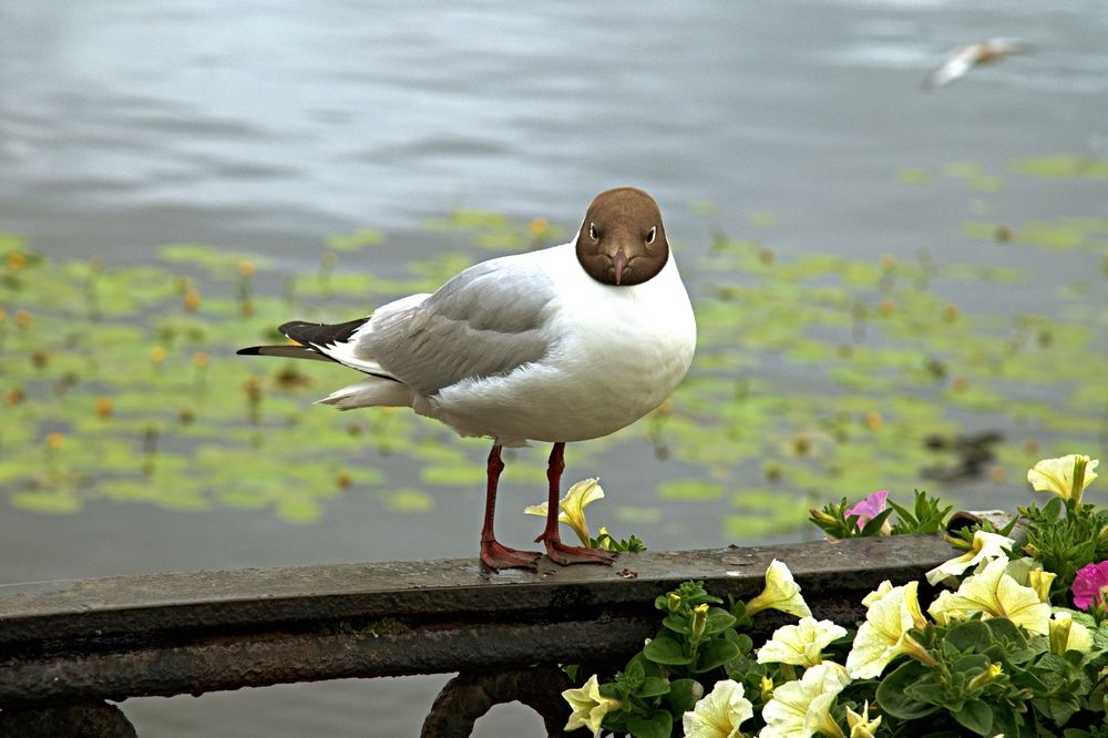 Photograph by Борис Чернов
