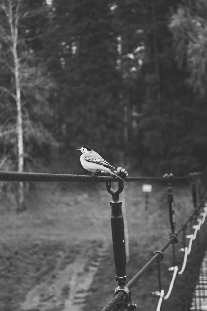 Photograph by Никита Зубов
