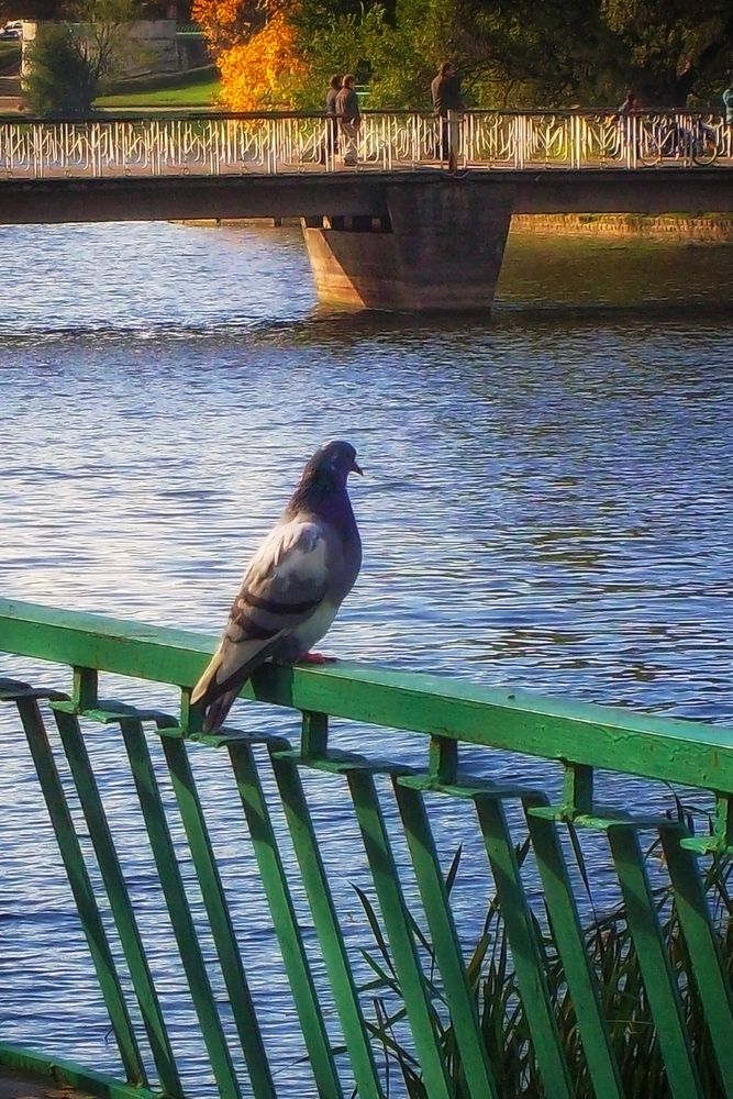 Photograph by Cергей Землянский