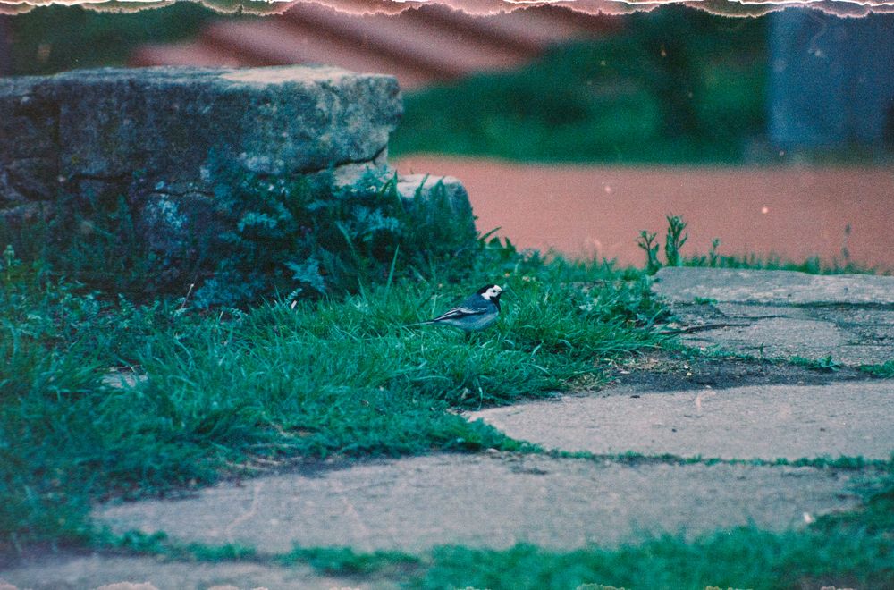 Photograph by Дмитрий Кулаков