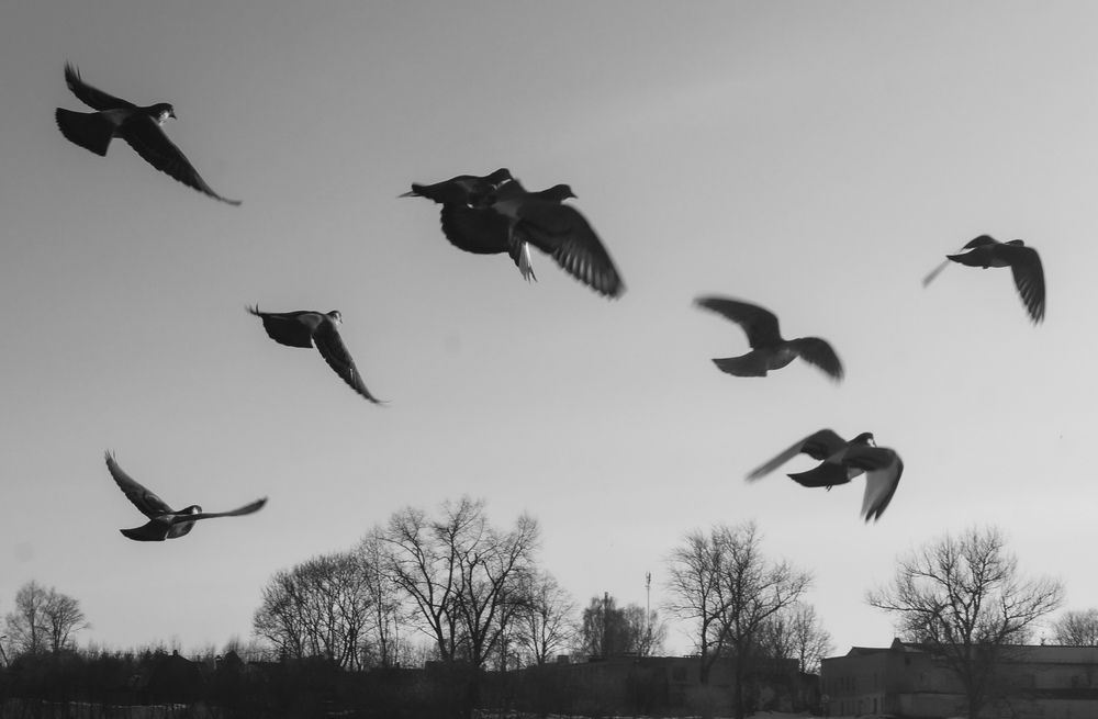 Photograph by Елизавета Ушакова