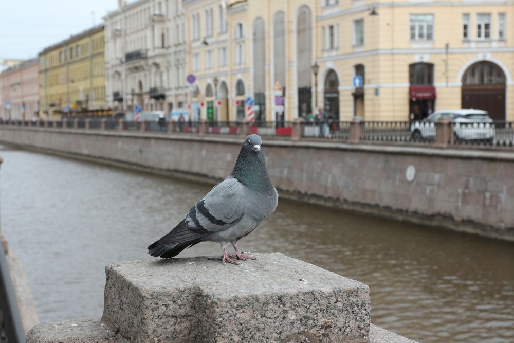 Photograph by Андрей Безгин
