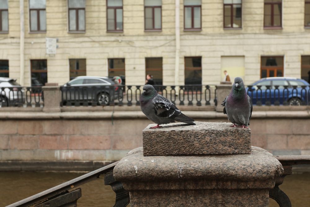 Photograph by Андрей Безгин